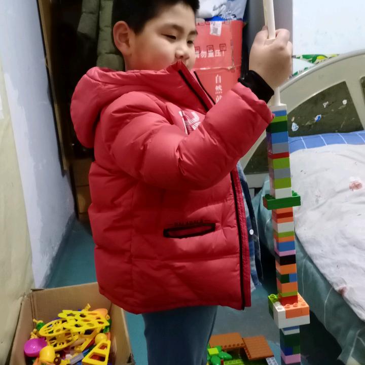 爱吃砂仁猪肚的陈青头像