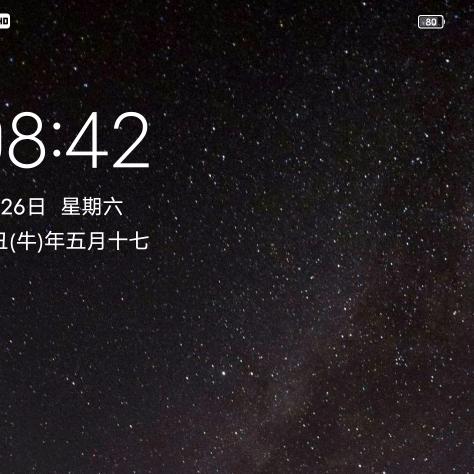 老张酱菜调味品