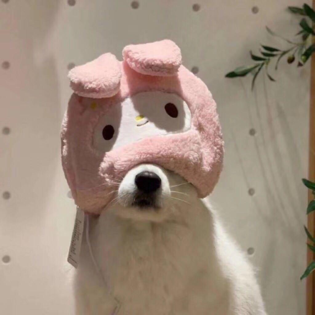 大东明天就减肥。