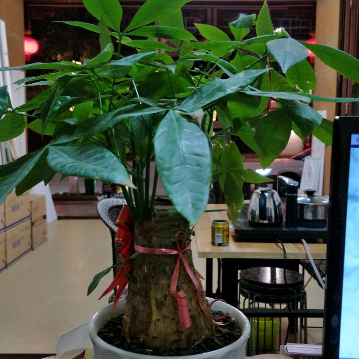 AIERMA爱玛艺术吊顶