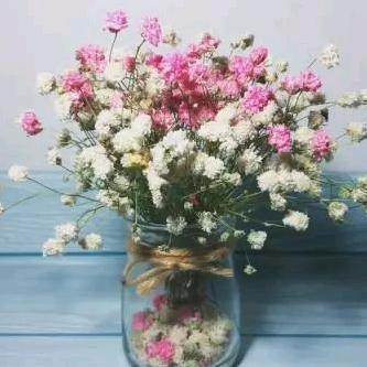 ꧁清风ꦿ໊ོ°꧂