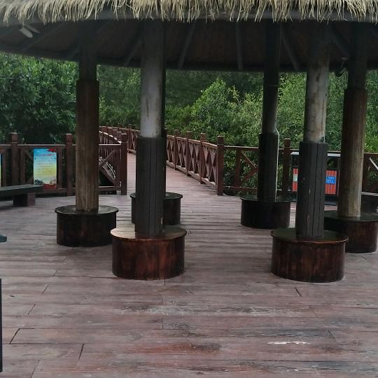 湖海