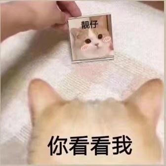 Xx筱