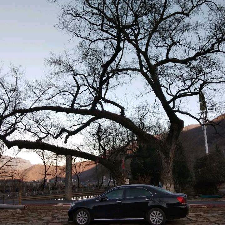 小情绪