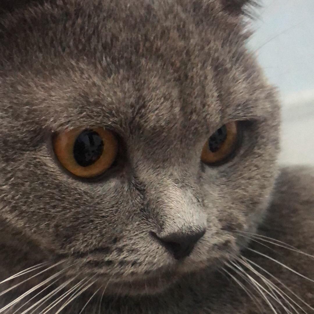 繁星•