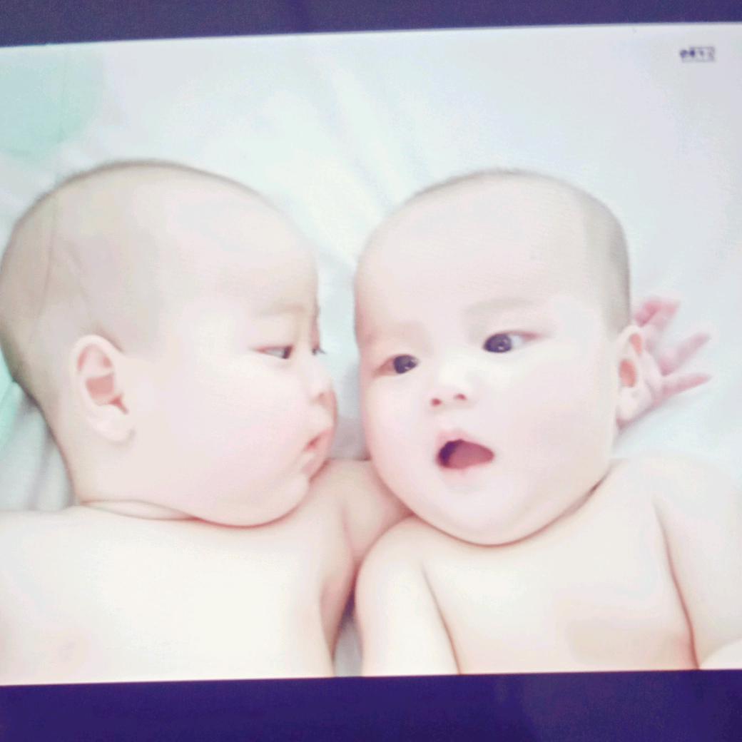 可爱的双胞胎
