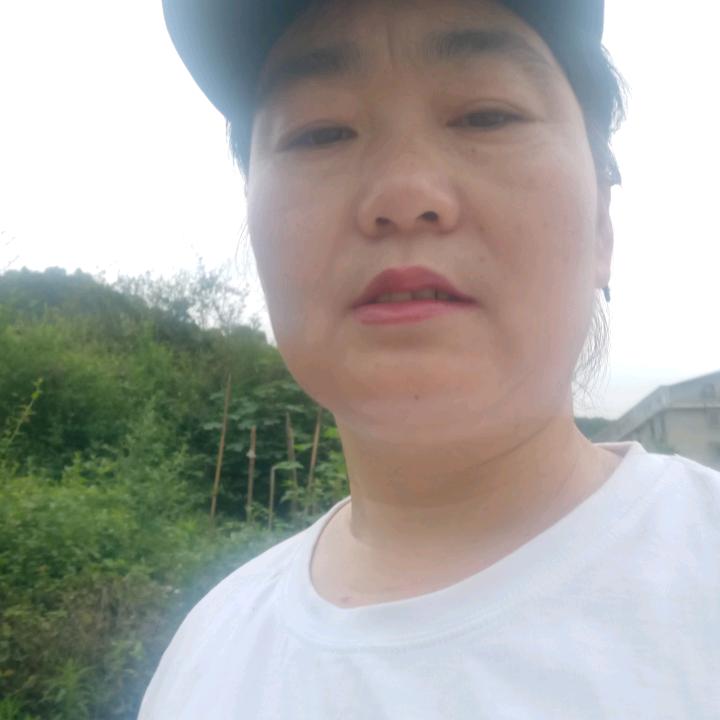 齐心568晚上9点半直播尹姐568