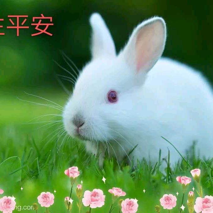 ∞一生平安