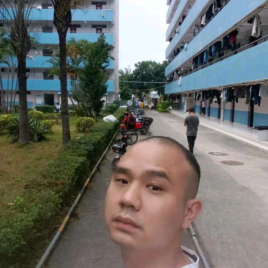 封心锁爱