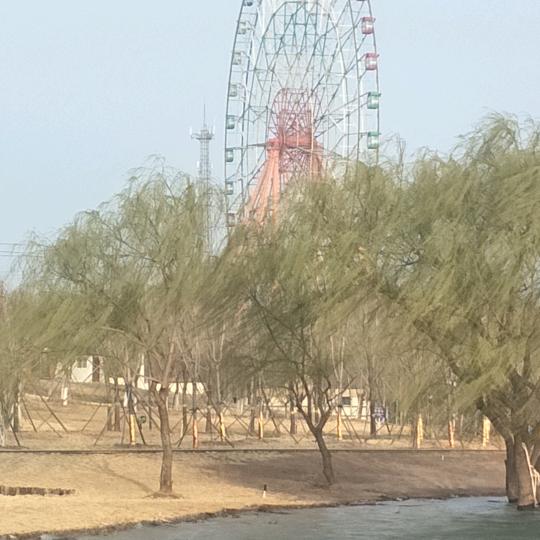 芳香富贵