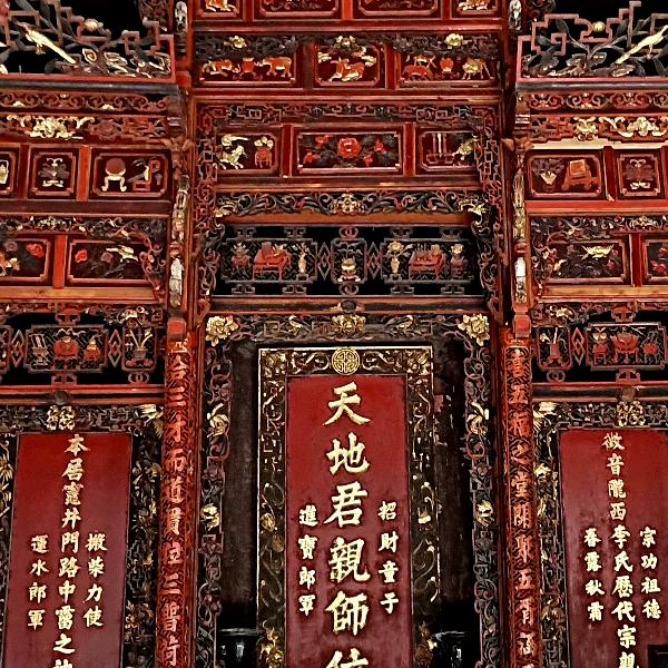奔跑🏃小强
