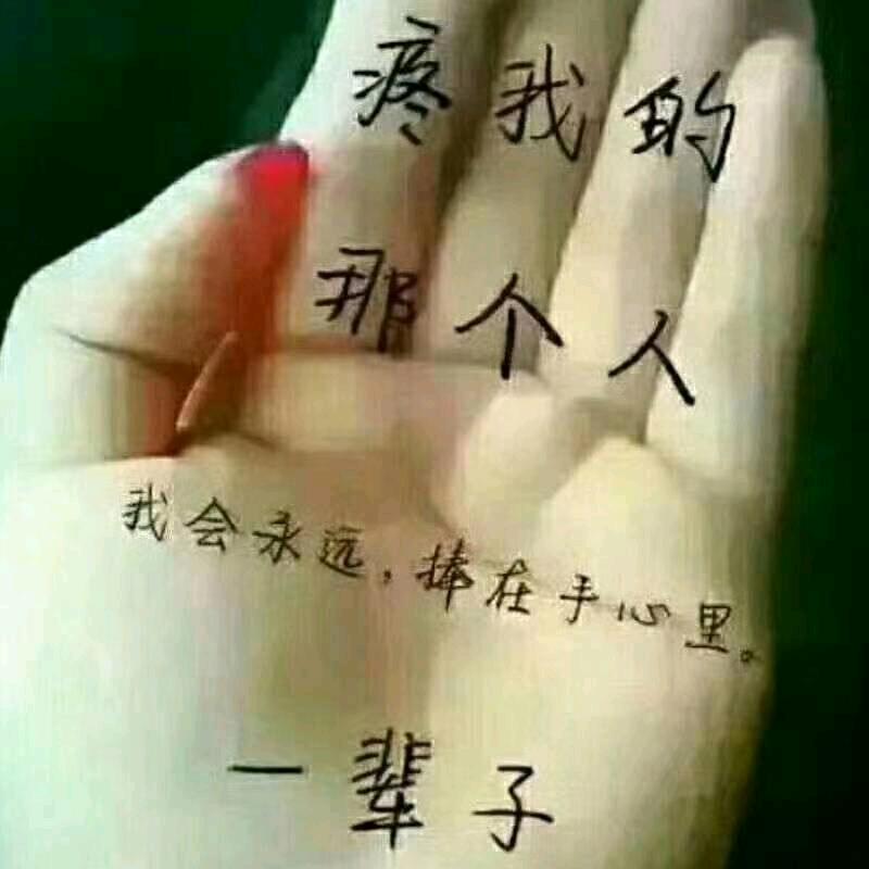 骑着蜗牛追飞机