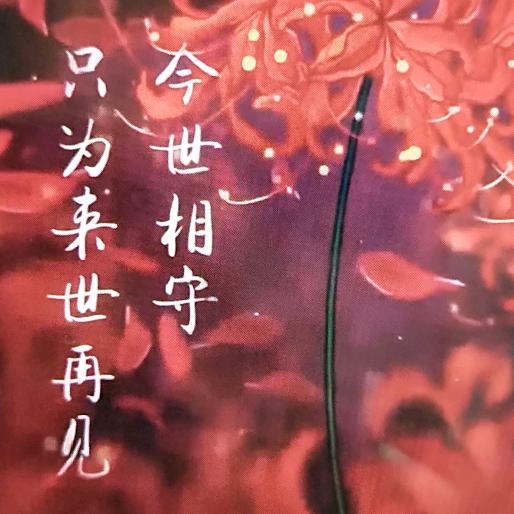 ༊ღ᭄心已ꦿ꯭归零🌸：༊ღ᭄