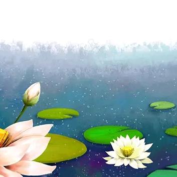 花雨