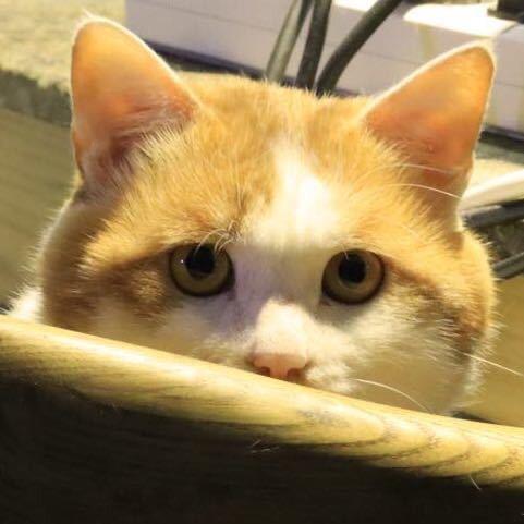 自娱自乐