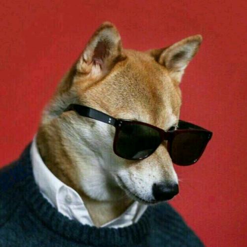 孤星（三角洲行动）