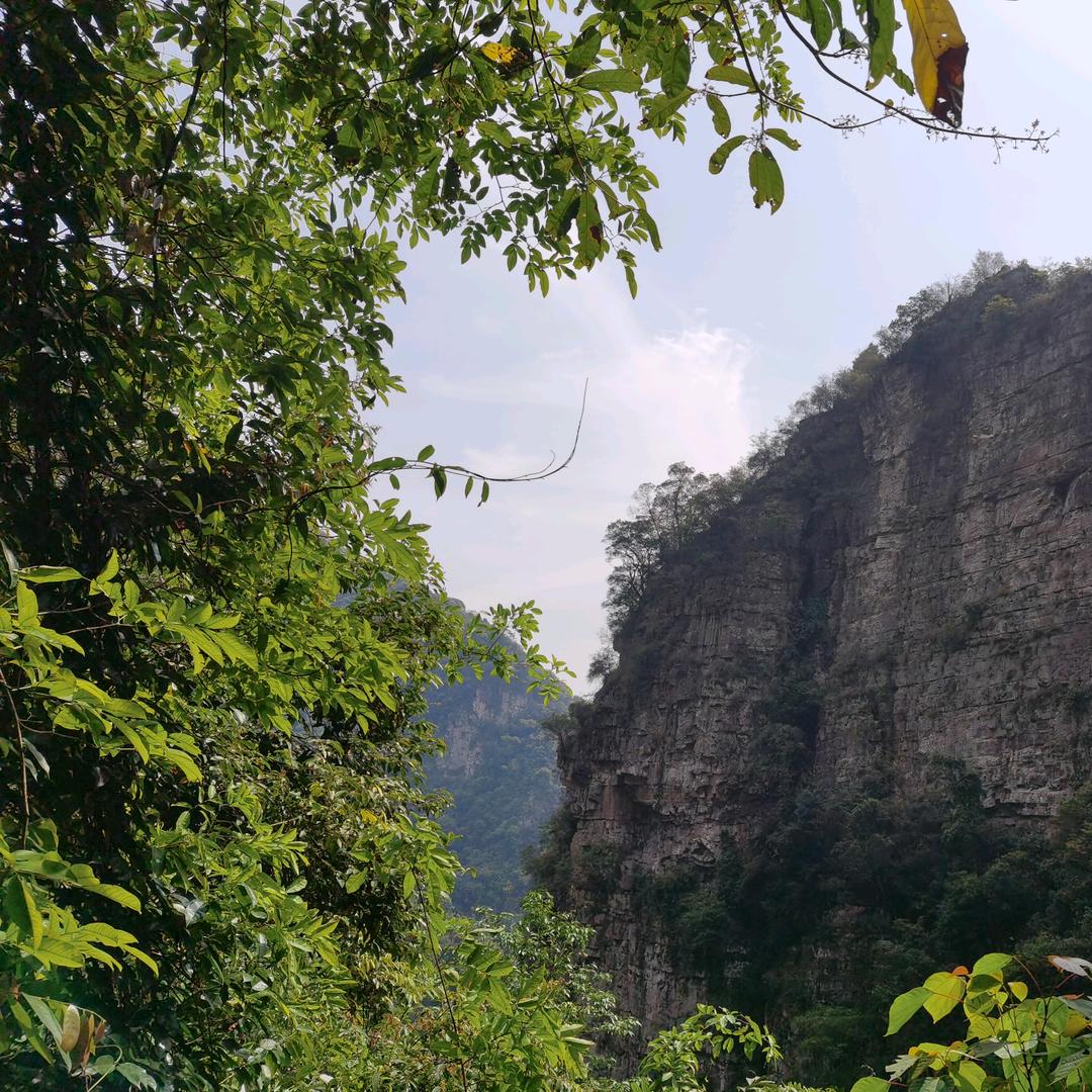 ༺💰爱财໊ཀྃ爱己এ᭄小谭