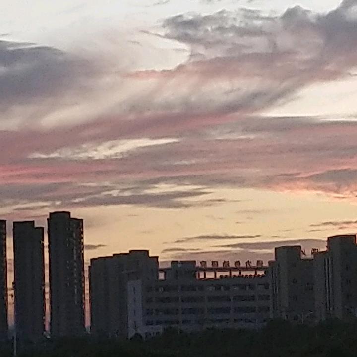 真情换真心