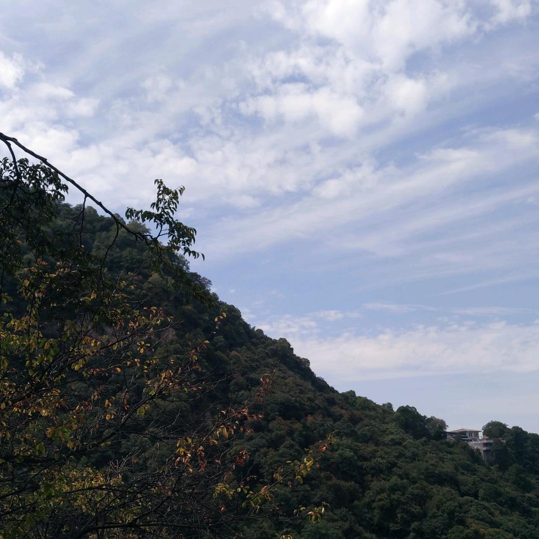 静寂的风