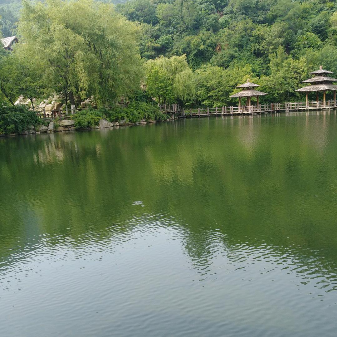 虾米123