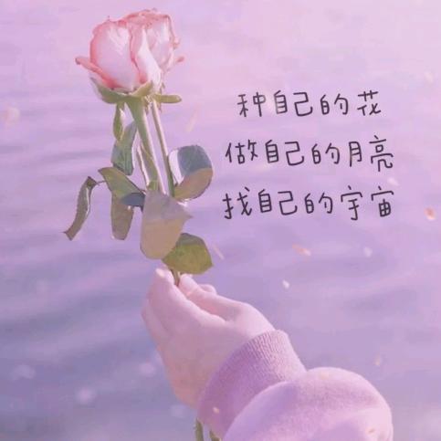 恬淡