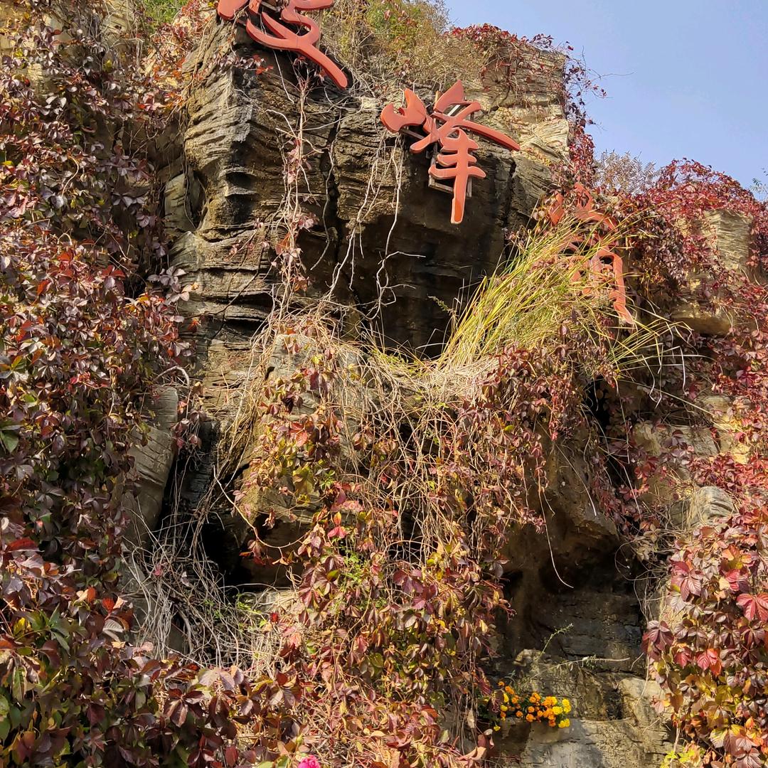 花语@