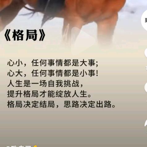 Xy优