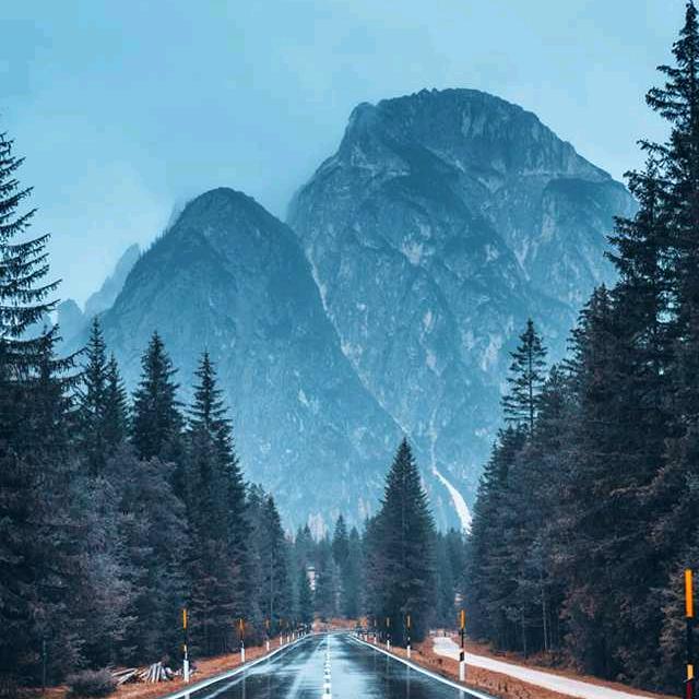 十七岁