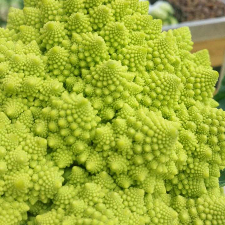 珠子（手机摄影）