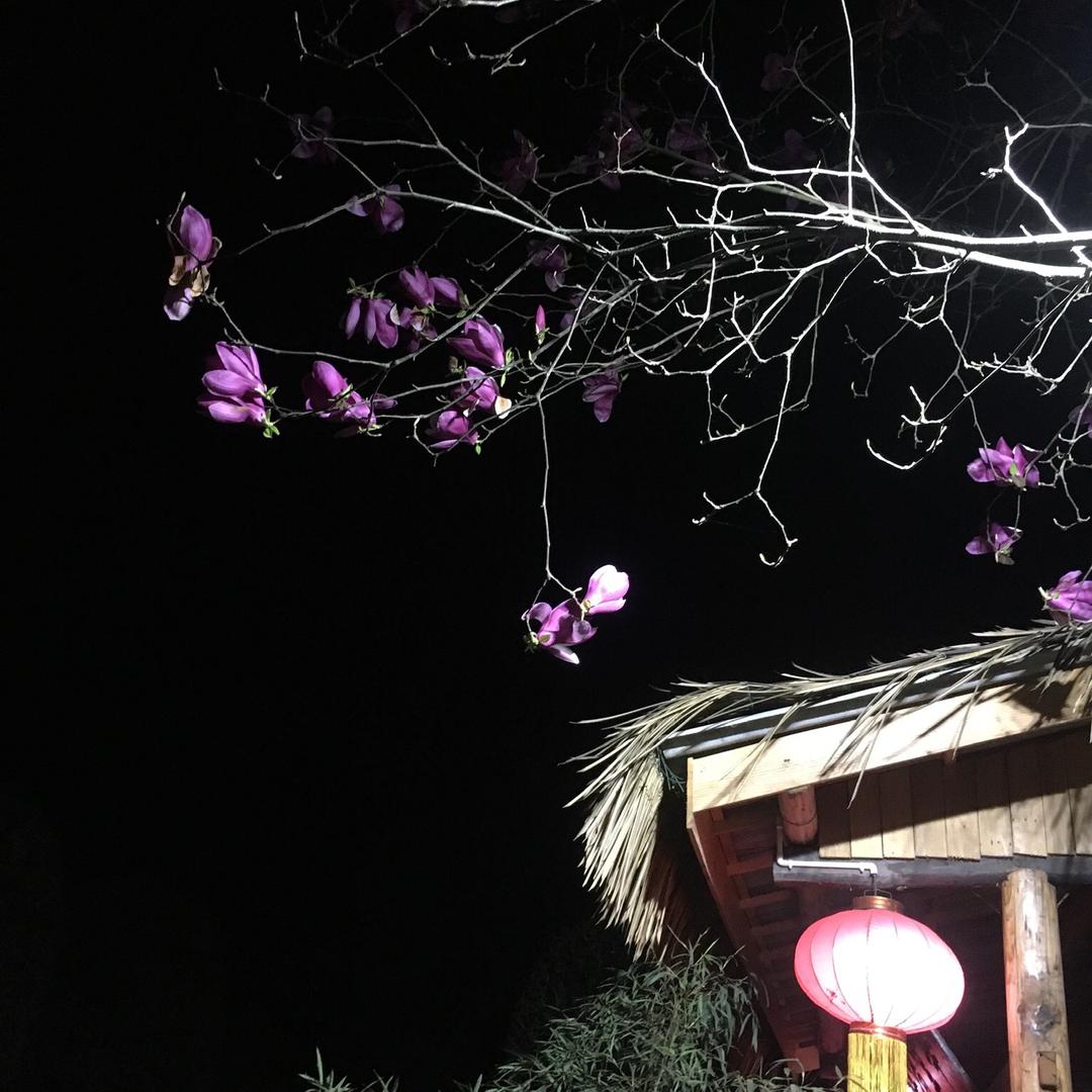 园林设计师宇哥