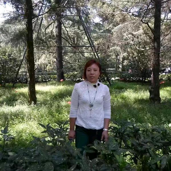丽娜