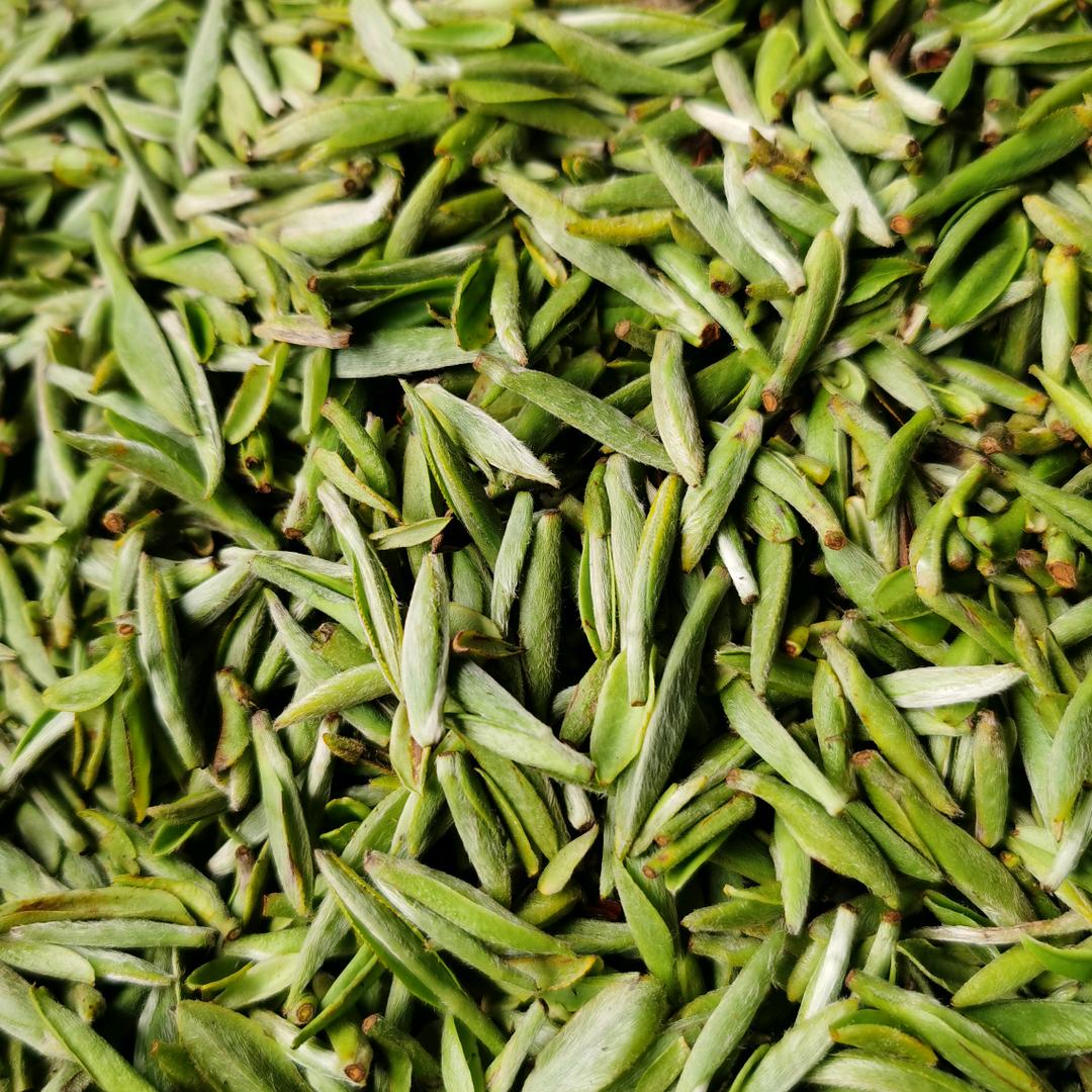墨舍茶行