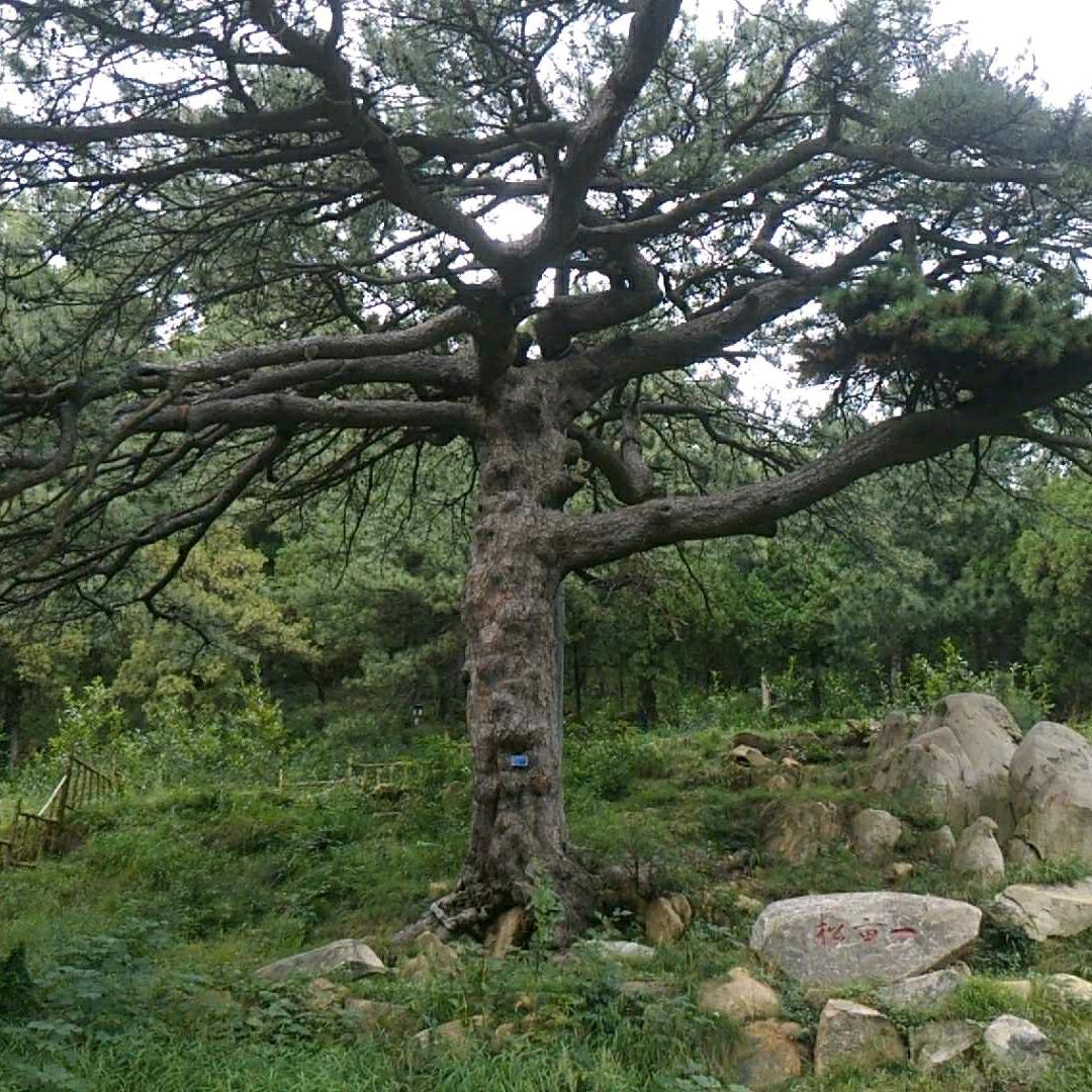 问我何所有