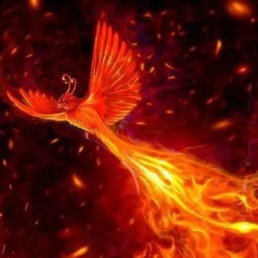 北京玉潭湖，漫野拾光农场，张玲，