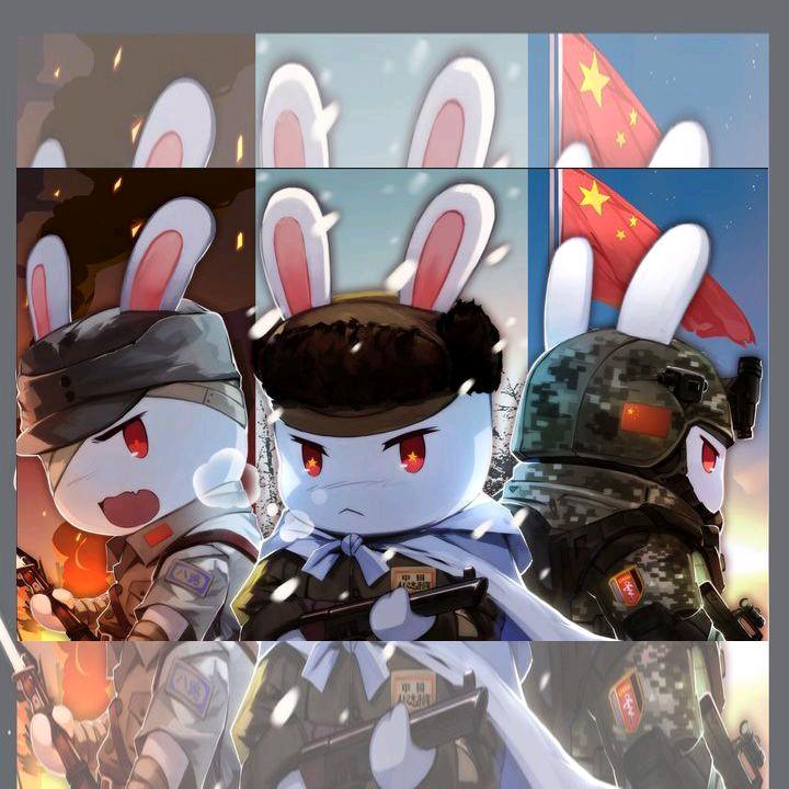 兔队