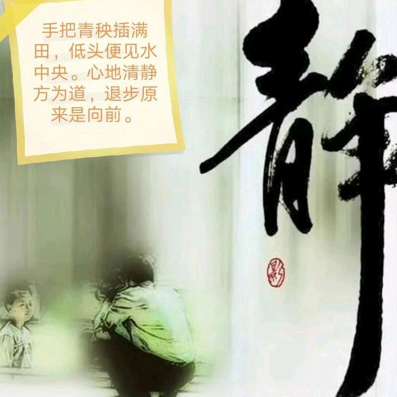 闲散一石
