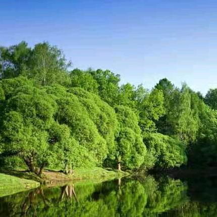 嘉善海霞房源🏠