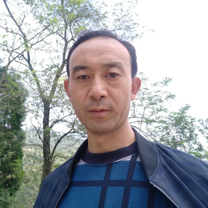 西北狼
