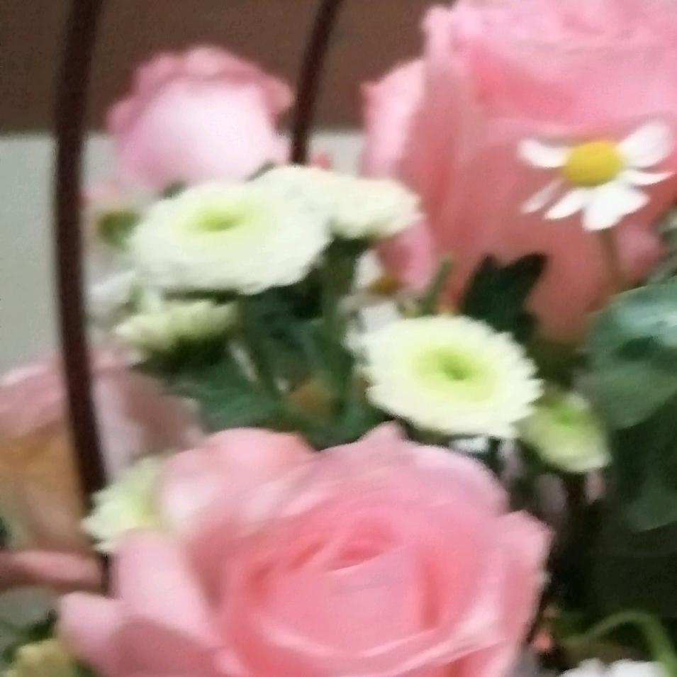 稻花饭香