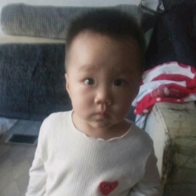 龙的传人