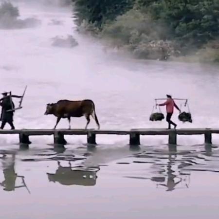 用户9930995010320秋风扫落叶