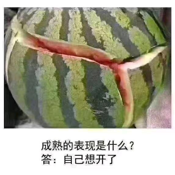 羊羊得意