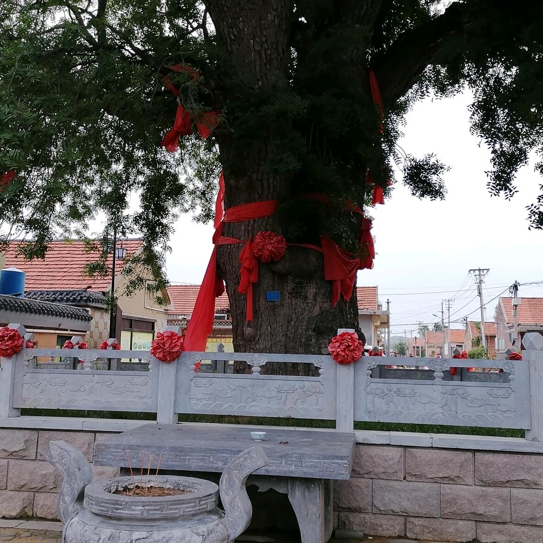 平安静好