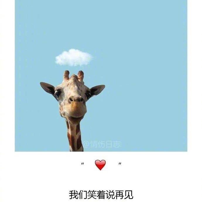 中山网约车清哥