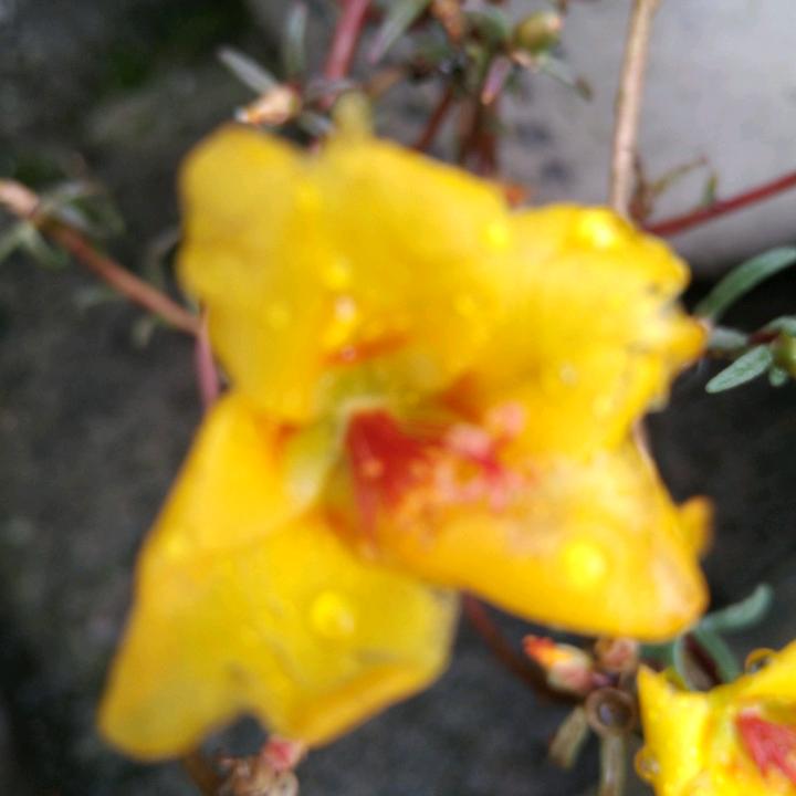 用户2330547608137上善若水