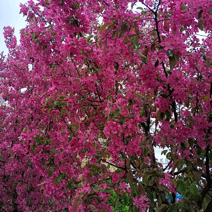 一家人平平安安一辈子