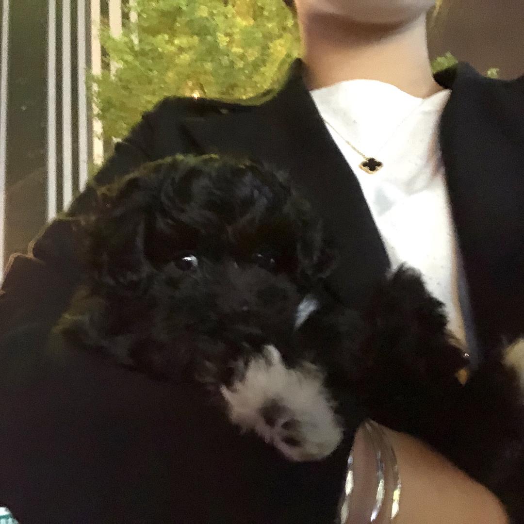 俗人～
