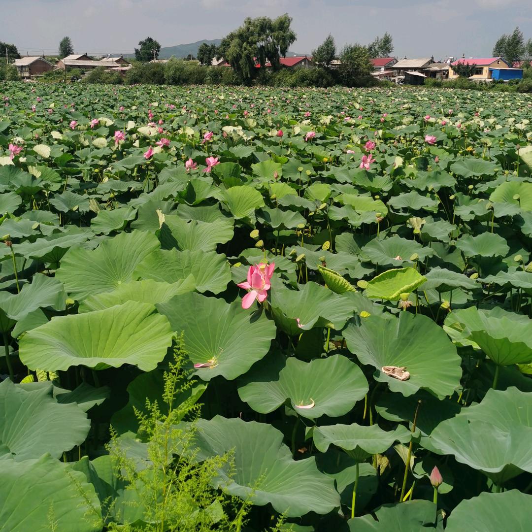 <$ÿĀ>火柴人<$ÿĀ>