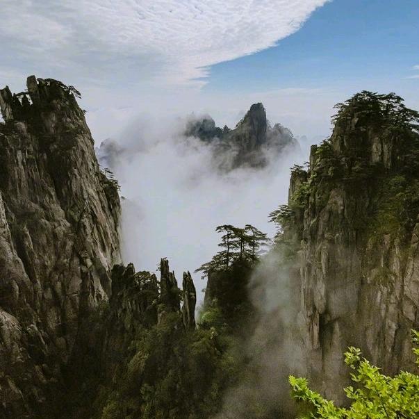 盟主律师