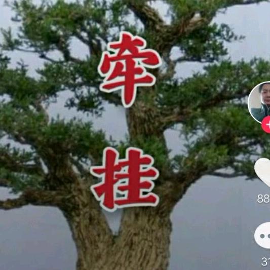 步步高升